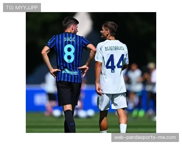 国米阵容老化问题显现，对赛季后期稳定性形成制约