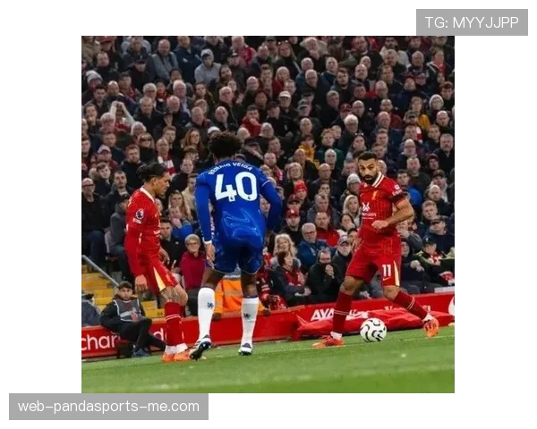 切尔西引援效果争议：阵容磨合与赛季走势面临新挑战