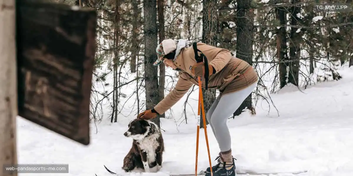 🎯专业装备，点燃你的运动激情！